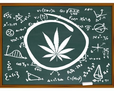 Terra Nova, Cannabis, Légalisation, France,
