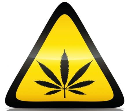 Cannabis, drogue de synthèse, danger, Europe,