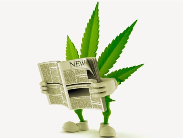 Revue de presse, CBD, THC, cannabis,