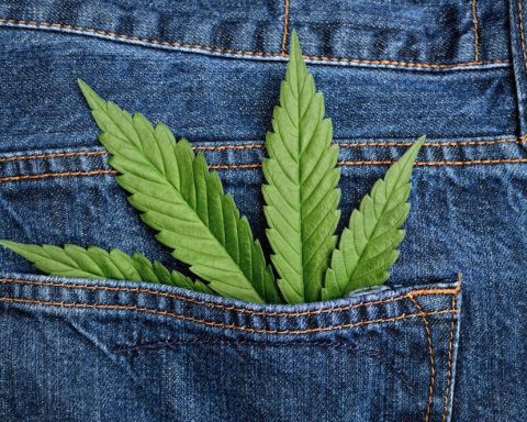 Jean, Chanvre, Mode, France,