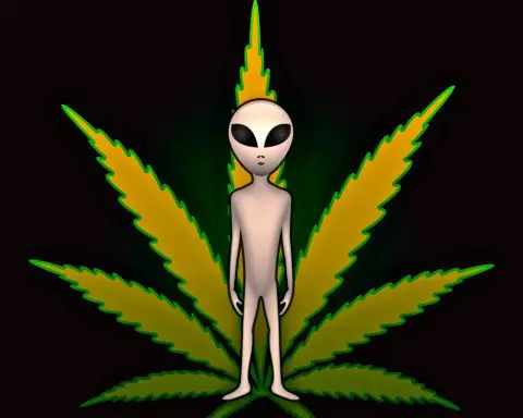 Cannabis, extra terrestre, Alien, Weed,