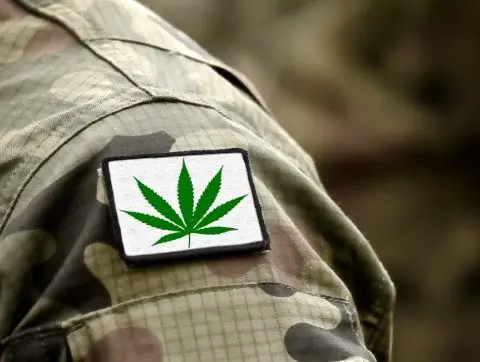 Army, PTSD, Cannabis, USA,