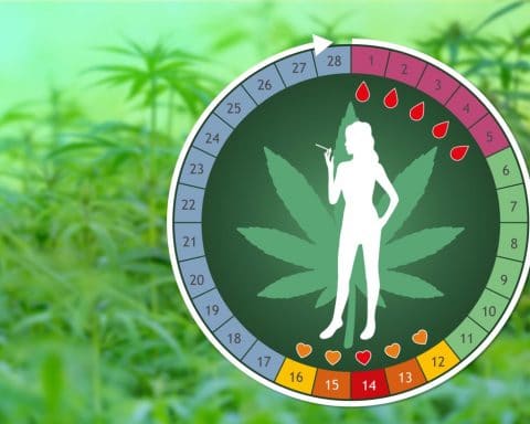 Règles, Journée de la Femme, Cannabis,
