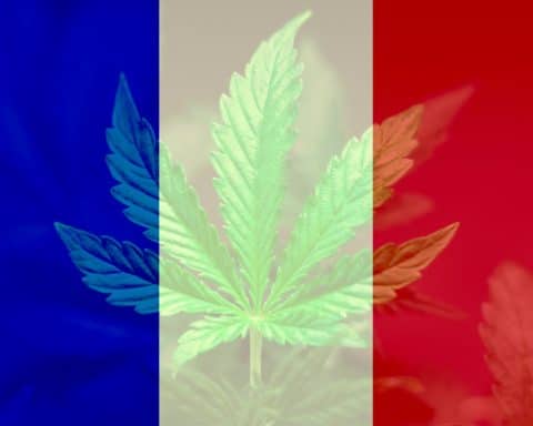 Cannabis, France, Légalisation.