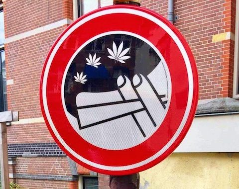 Cannabis, La jeunesse en fumée, France 2, Prohibition,