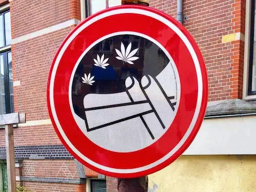 Cannabis, La jeunesse en fumée, France 2, Prohibition,