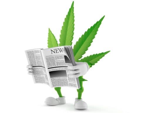 THC, CBD, information,