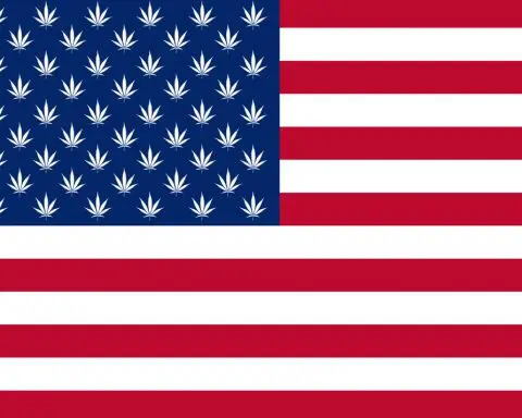 Legalization, cannabis, USA, Connecticut, Virginia, New Mexico,