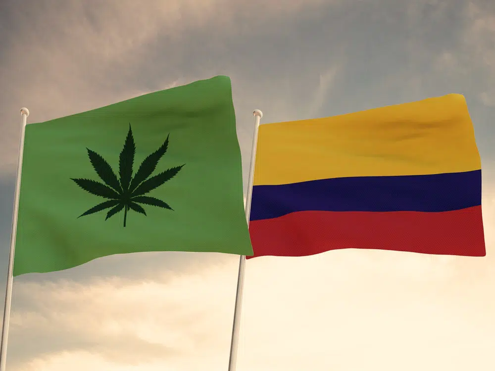 Colombie, Cannabis, Légalisation, Weed,