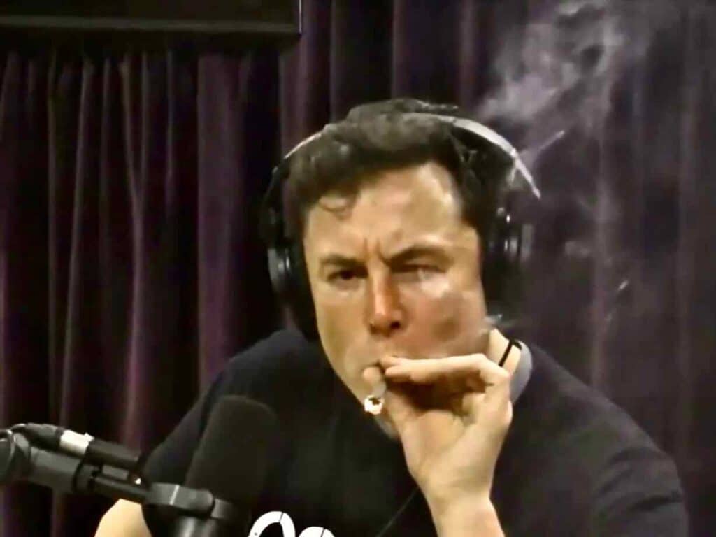 Elon Musk, Cannabis,