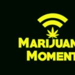 Marijuana moments, revue de presse
