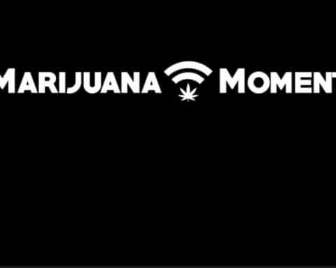 Revue de presse, Marijuana Moments, cannabis