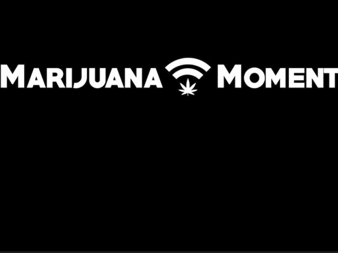 Revue de presse, Marijuana Moments, cannabis
